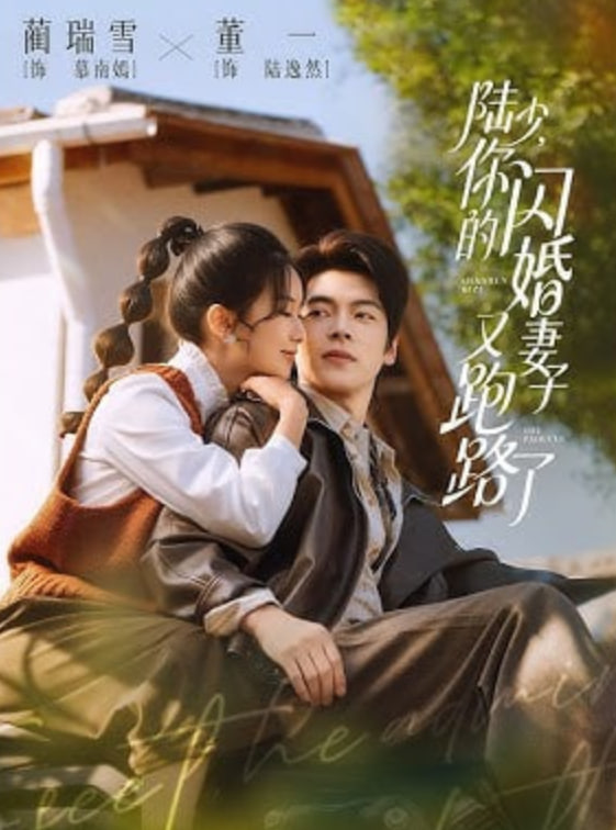 陆少,你的闪婚妻子又跑路了