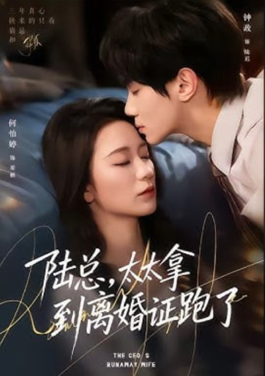 陆总,太太拿到离婚证跑了