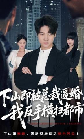 下山即被总裁逼婚,我反手横扫都市