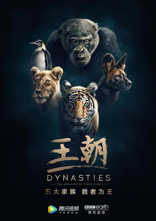 王朝,第一季