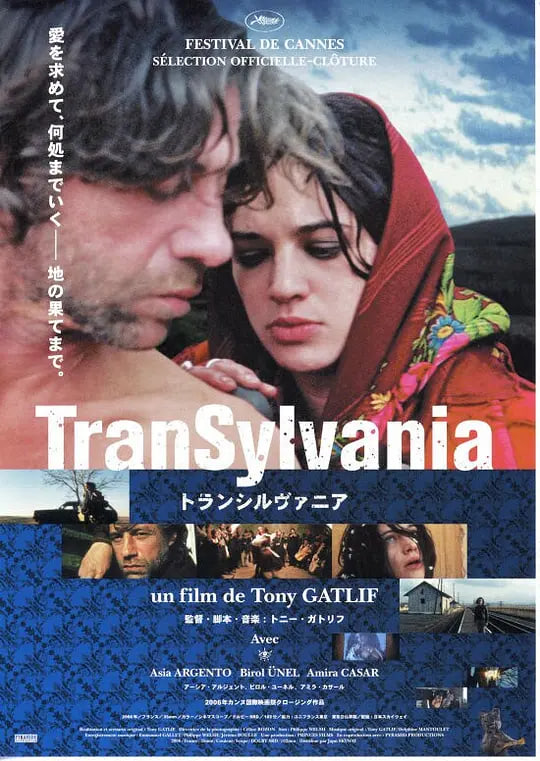 寻爱之旅,2006