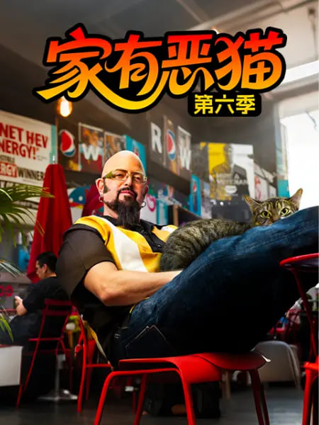 家有恶猫,第六季