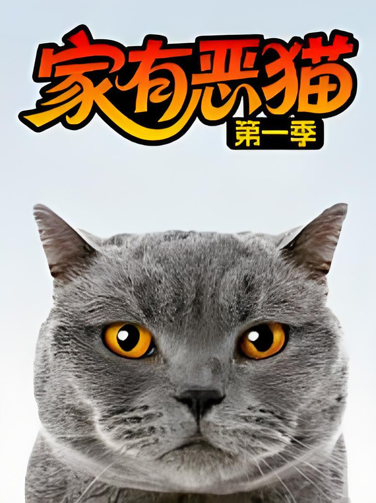 家有恶猫,第一季