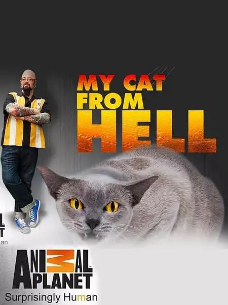 家有恶猫,第七季
